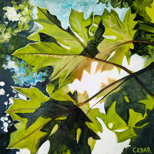 Maple Leaves and Sun. 12" x 12", Acrylic on Wood, © 2024 Cedar Lee