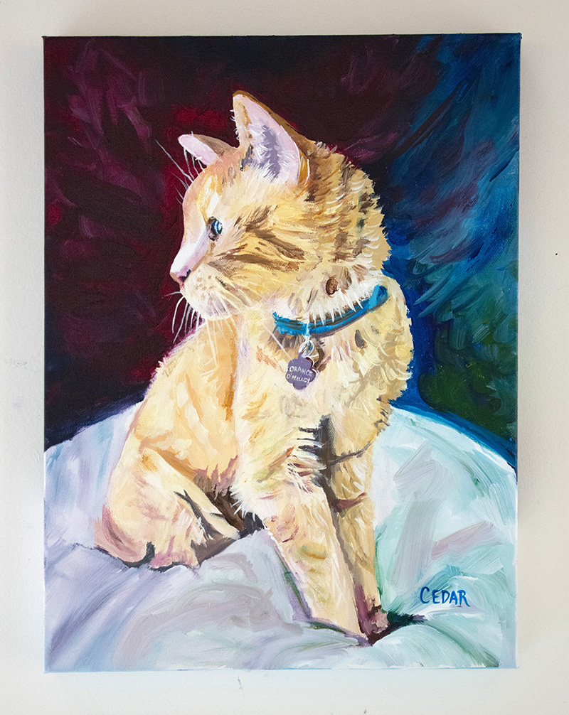 Orange O'Malley | Cat Portrait | Commissioned Art - Art by Cedar Lee