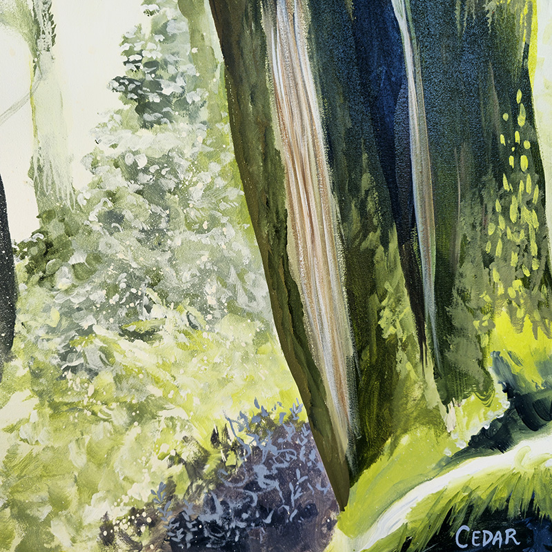 Closeup detail of lichen on trees in forest painting