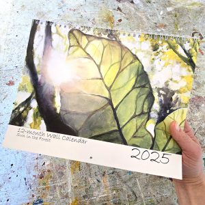 2025 Wall Calendar Sun in the Forest