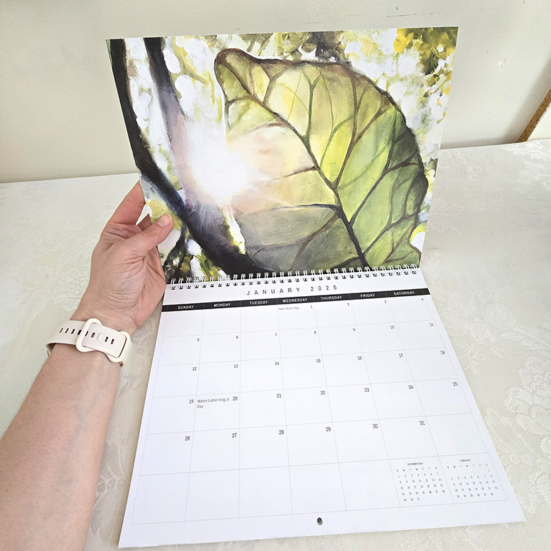 2025 Wall Calendar Sun in the Forest