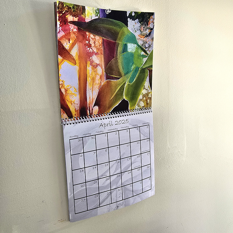 2025 Wall Calendar Sun in the Forest