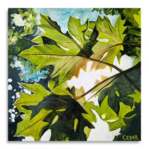 Maples Leaves and Sun Canvas Print