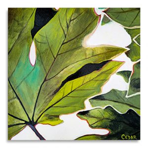 Maple Shapes Canvas Print