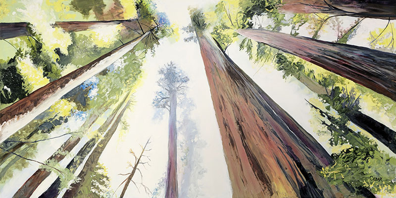 Into the Light Bright Sky Redwood Forest Painting