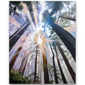 Redwood Cathedral Art Print