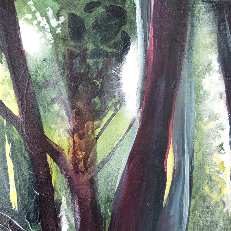 Closeup detail: Light flickering through gaps in the trees