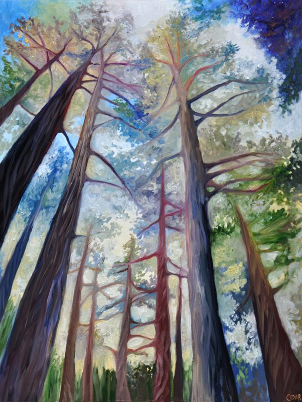 Trees In The Morning art print